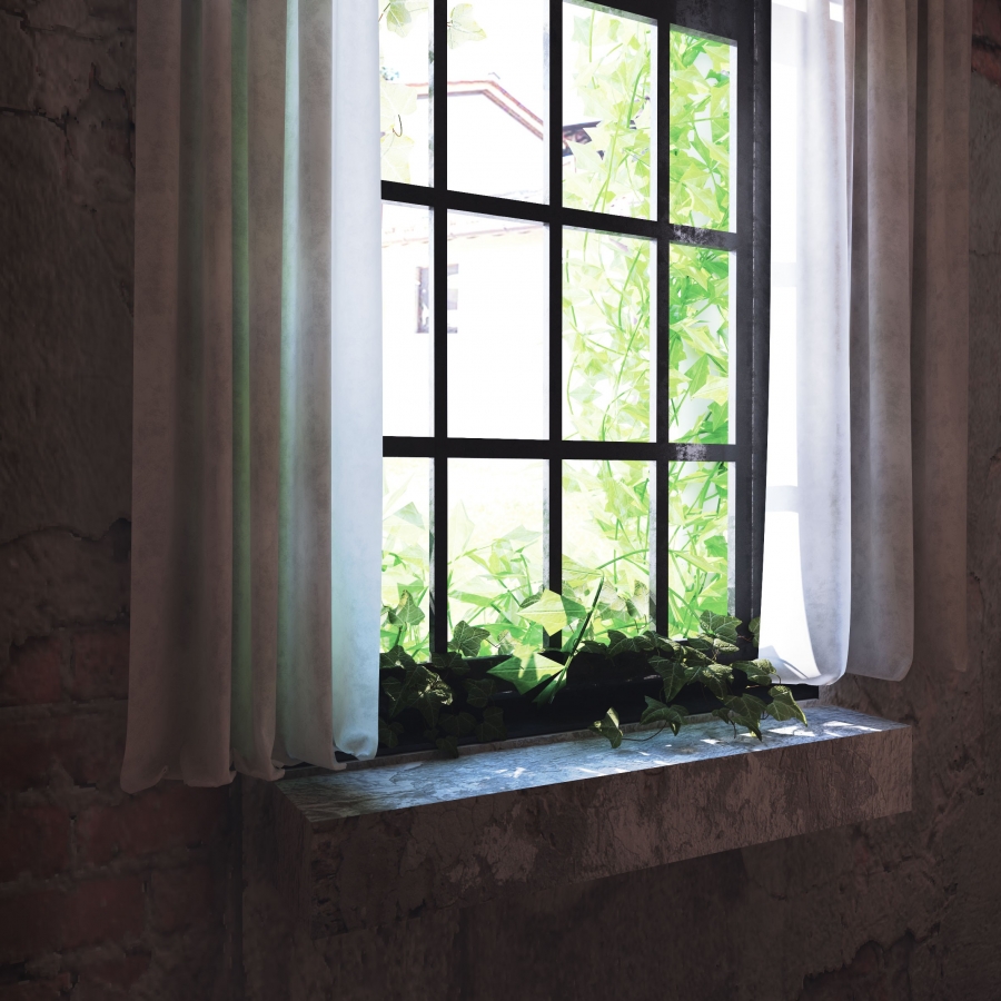 OLD WINDOW